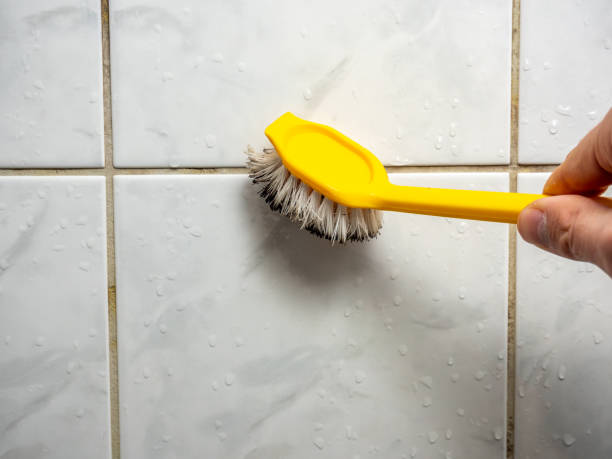  Larkspur, CA Mold Removal Pros