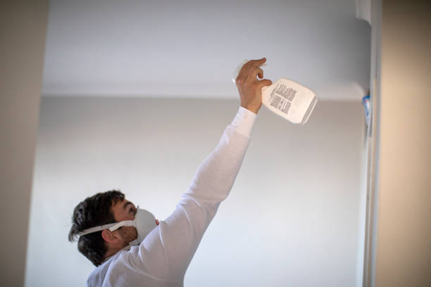 Best Crawl Space Mold Removal  in Larkspur, CA