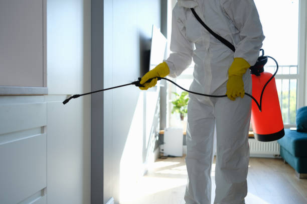 Best Office Mold Removal Services  in Larkspur, CA