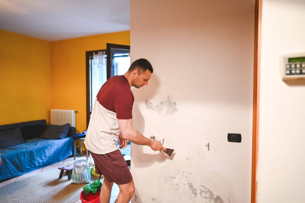 Best Certified Mold Removal  in Larkspur, CA